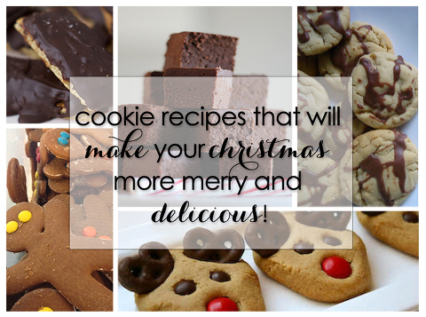 recipes for a very merry christmas [cookie] - Miss Freddy