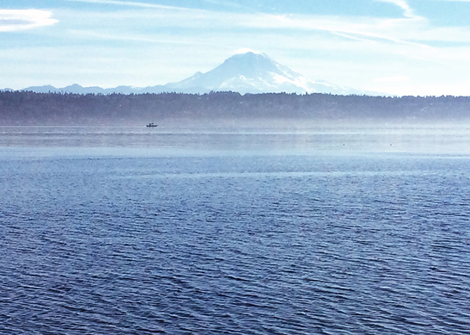 Must see:  Vashon Island day trip.  A stunning sight, just a 20 minute ferry ride from Seattle!