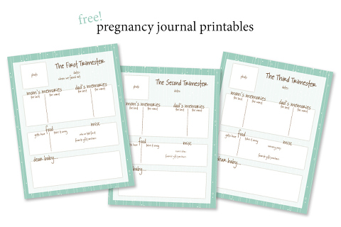 Document your pregnancy with this super SIMPLE pregnancy journal.  Just once a trimester... I can do that!  (and it's FREE!)