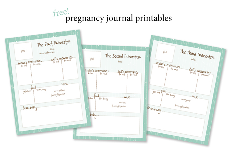 simple ways to document your pregnancy - Miss Freddy