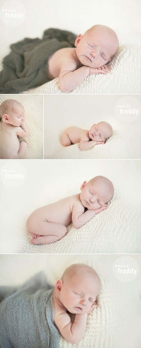 sweet newborn session by Seattle newborn photographer, miss freddy!