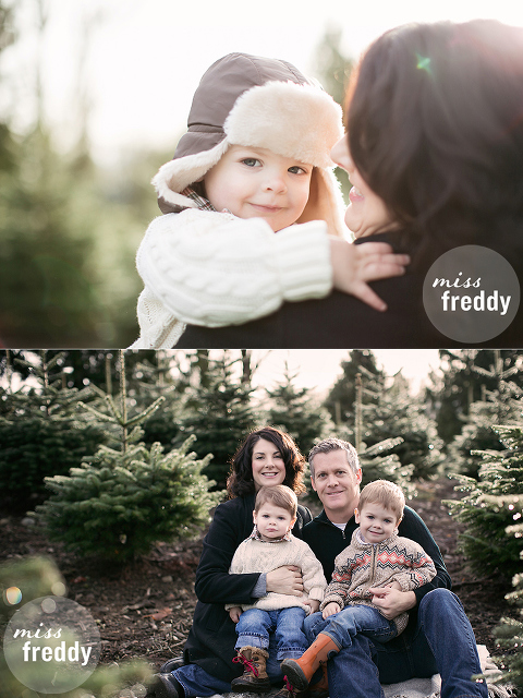 Family photos at a Christmas tree farm!  Love this session by Seattle photographer, Miss Freddy!