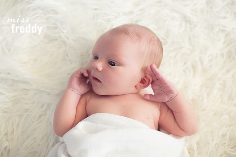 love these sweet newborn poses done by miss freddy- seattle newborn photographer.