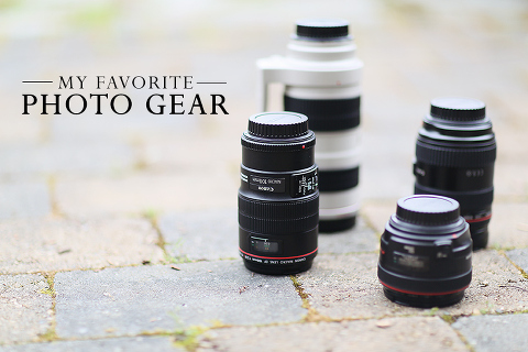 Get camera recommendations and tips on lenses & other photography gear from a professional photographer!