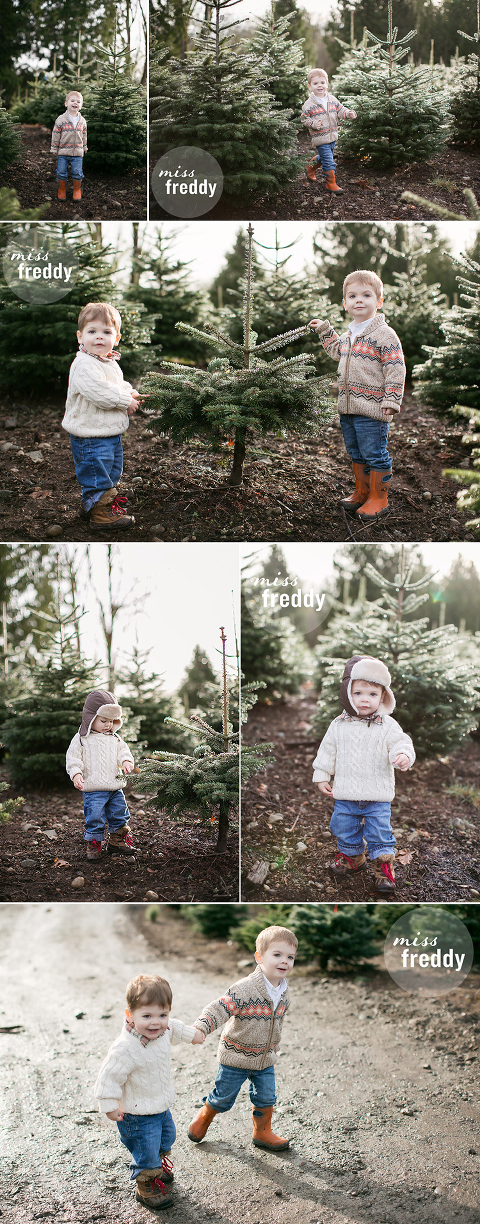 Family photos at a Christmas tree farm!  Love this session by Seattle photographer, Miss Freddy!