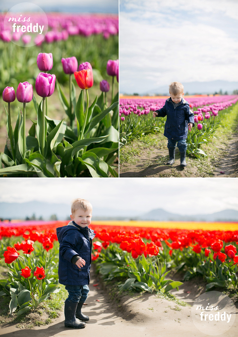 The tulip festival in Skagit Valley is a must see!  Blooms late March through mid April.