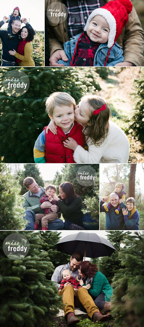 These Seattle tree farm photo sessions by Miss Freddy are so cute!