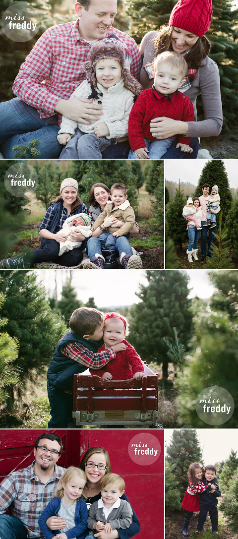 These Seattle tree farm photo sessions by Miss Freddy are so cute!