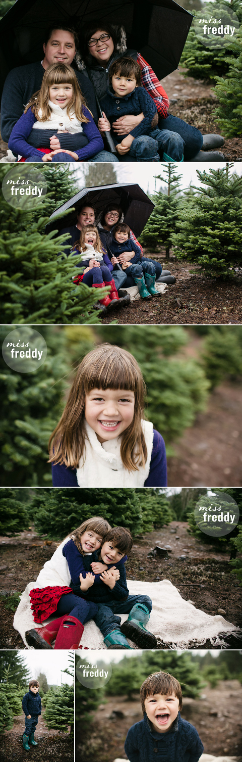 A photo session at Trinity Tree farm in Issaquah, WA by Seattle photographer, Miss Freddy.