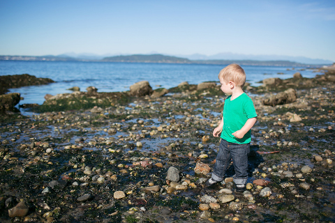 Miss Freddy, a West Seattle mom and kids photographer, shares her list of the best kids activities in West Seattle! Most are even FREE!