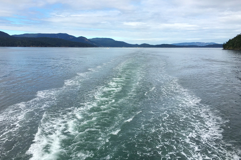 The San Juan Islands are a perfect weekend getaway from Seattle. Check out these ideas for things to do while visiting the San Juan Islands with kids!