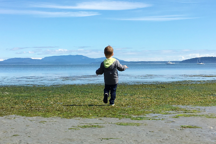 The San Juan Islands are a perfect weekend getaway from Seattle. Check out these ideas for things to do while visiting the San Juan Islands with kids!