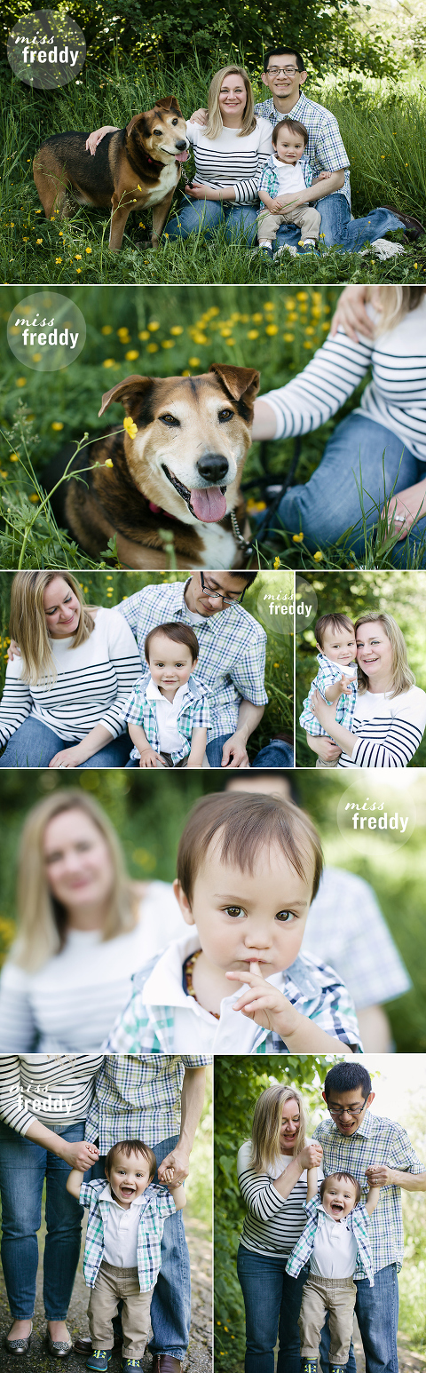 Love this family session by Miss Freddy, Seattle/ Redmond family photographer.