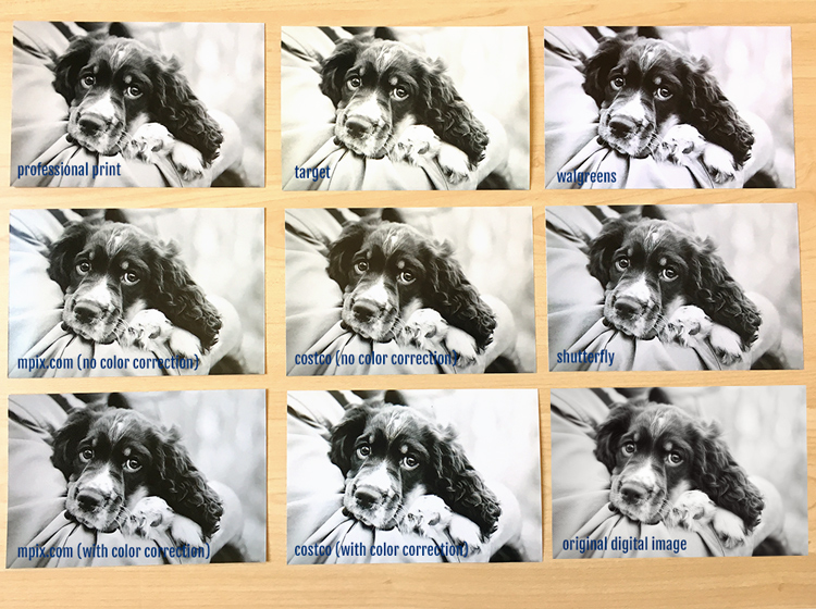 A professional photographer does a photo print comparison test.  The results are surprising!