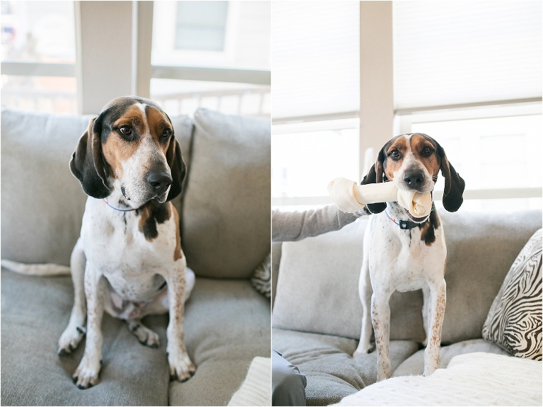 Love the idea of a first cake smash! Photo session by Miss Freddy, a family photographer in Denver Colorado.
